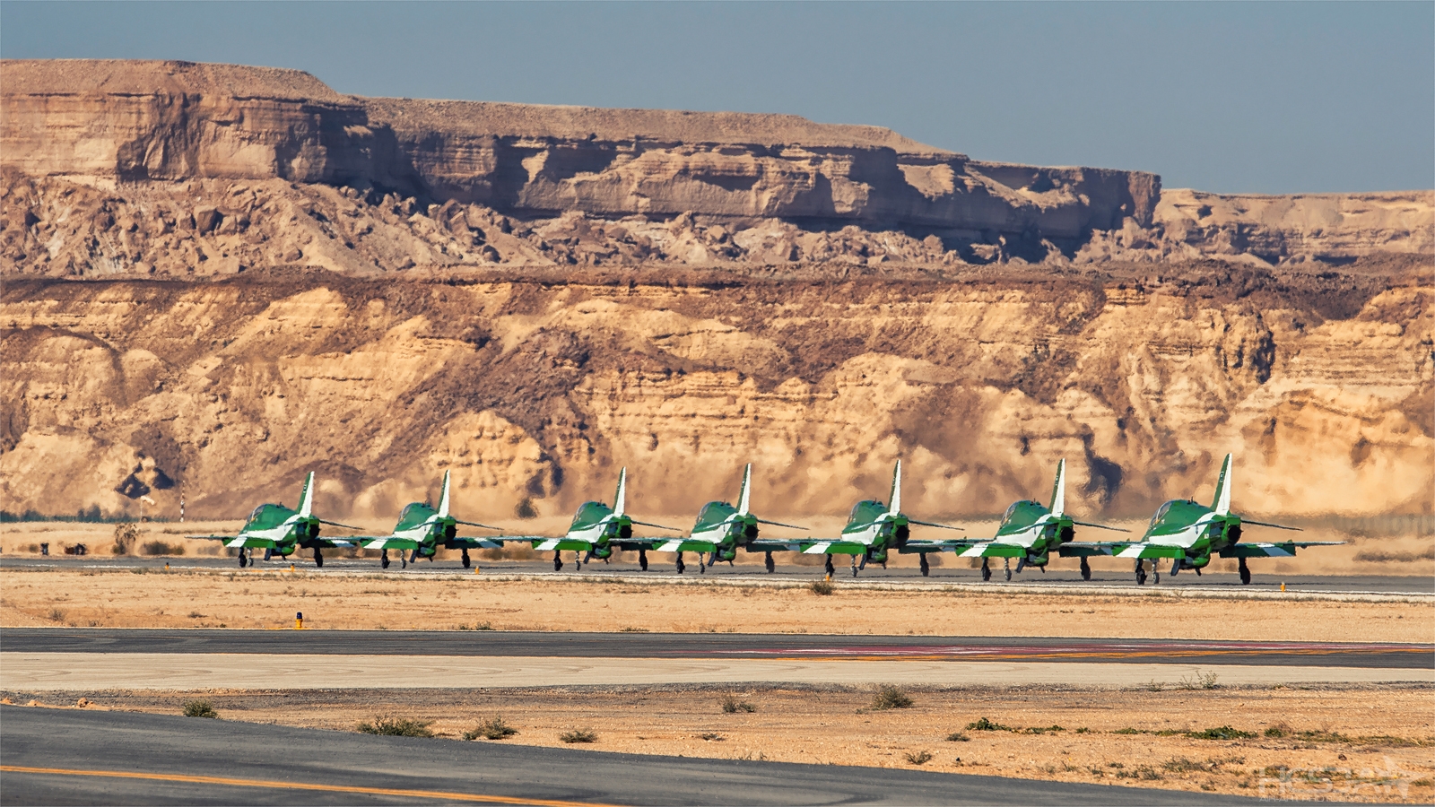 Saudi Hawks